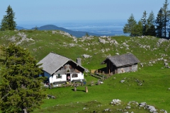 inzell-sommer-panorama-alm-02